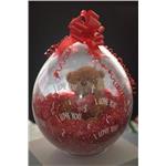 REGALO NEL PALLONE 9