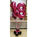18 VERDE PALLONCINI FUCSIA 