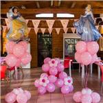 Addobbo sala per qualsiasi evento,tema disponibile in più colori #le principesse